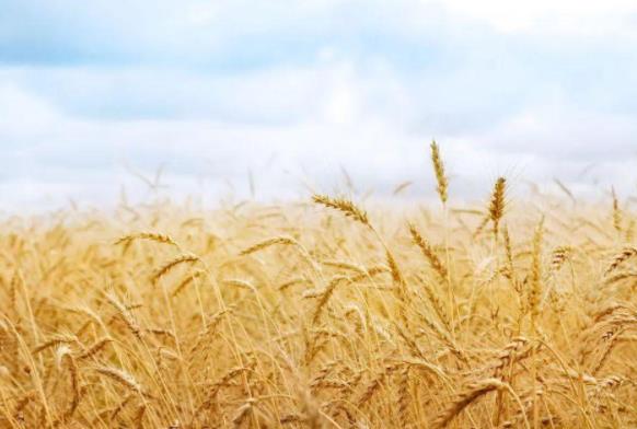 360截圖20221114165148926.jpg 360截圖20221114165148926.jpg